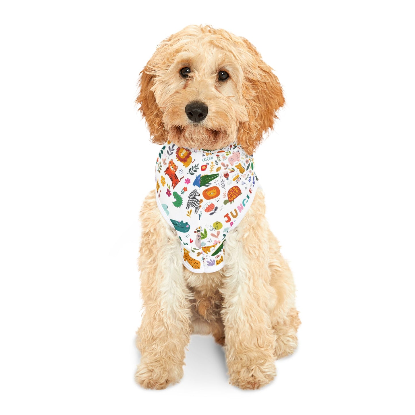 Pet Hoodie