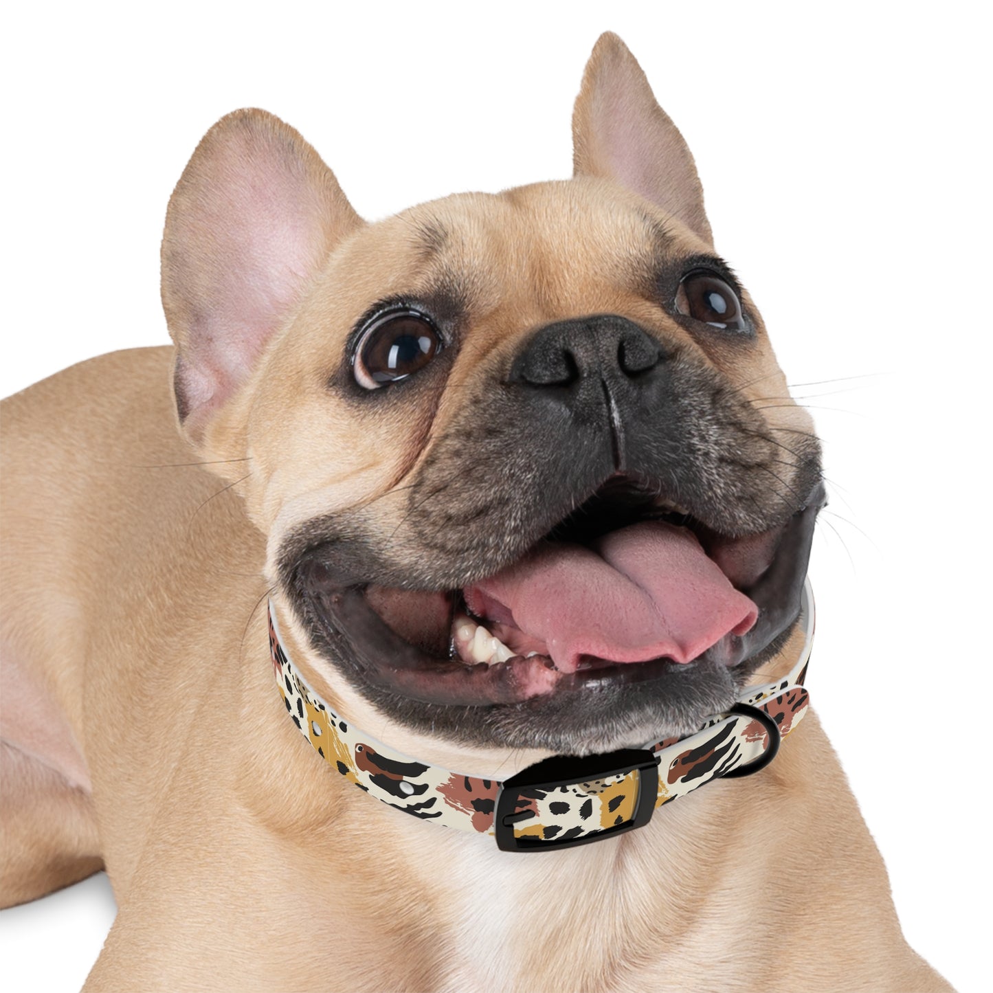 Dog Collar